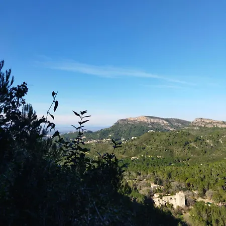 Casa Bienvenida - Carcagente