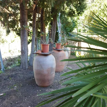 Casa Bienvenida - Carcagente