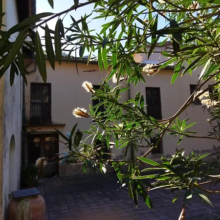 Casa Bienvenida - Nocleg ze śniadaniem Carcagente