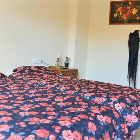 Casa Bienvenida - Nocleg ze śniadaniem Carcagente